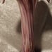 Murano Style Art Deco Multicolor Swirled Flower Petal 9 Vase Vintage Rare