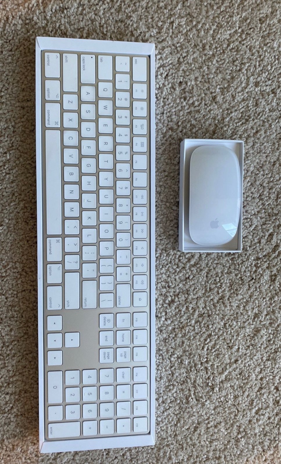 Magic Mouse and Keyboard