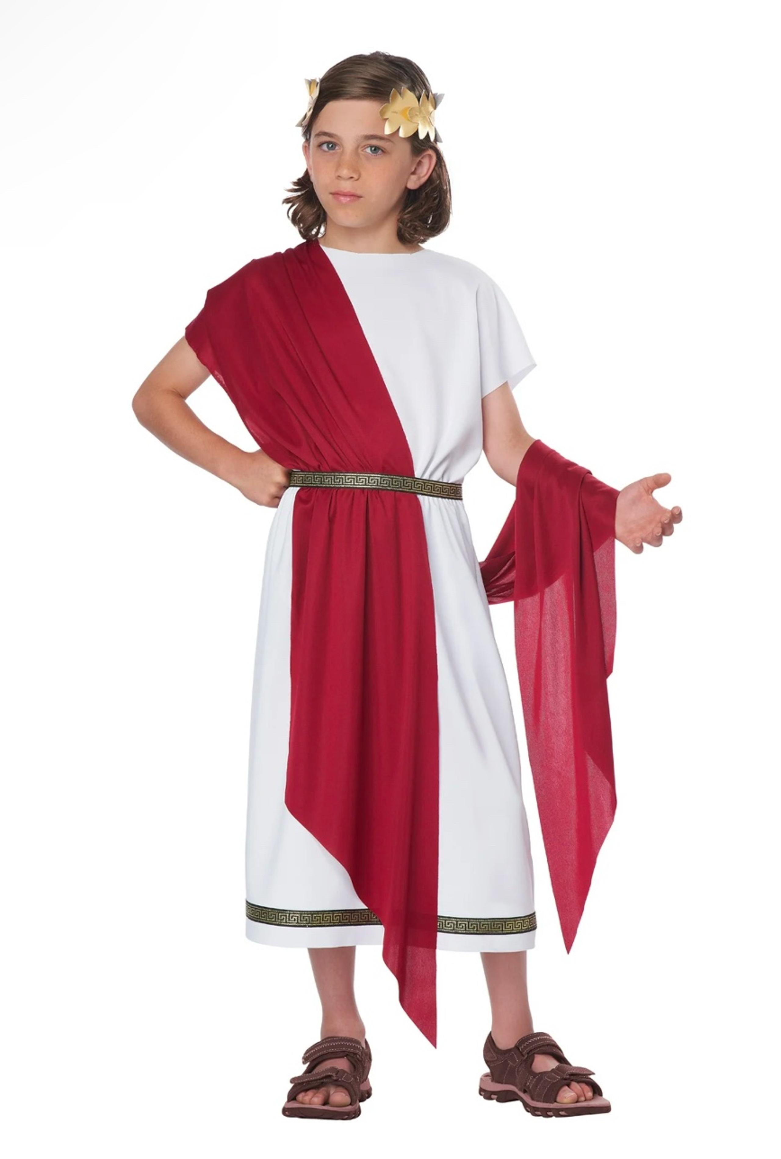 California Costume Basic Toga Child’s Greek/Roman Halloween Costume Size XL