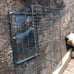 dog kennel