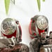 Vintage GAS Bijoux St. Tropez Faux Coral Cabochon Silver Tone Clip On Earrings