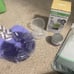 Spectra and breastfeeding supplies