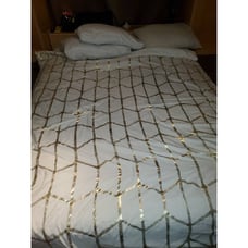 Intelligent Design comforter queen Size Polyester (100%) white gold accent