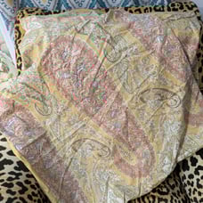 Pair Of Pottery Barn Colette Paisley Bed Pillow Shams Euro Square Yellow Multi