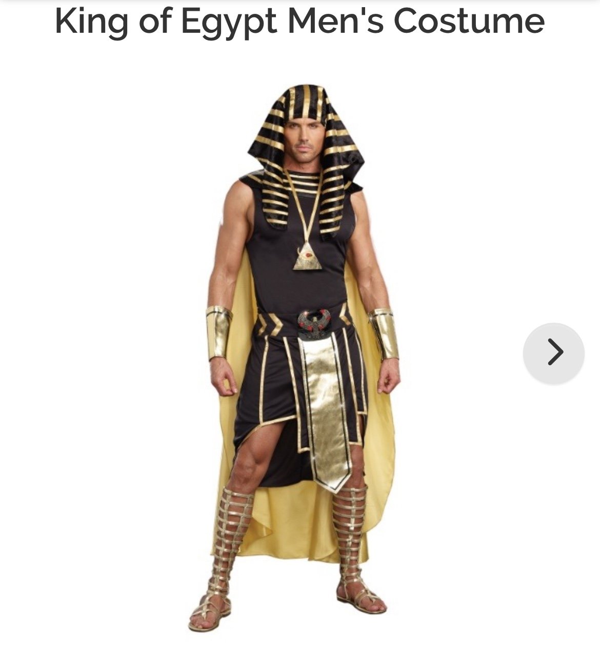 Men’s pharaoh king of Egypt costume