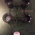 RDWC hydroponic system- 25-gallon, 4-plant w main control reservior, 4 airstones