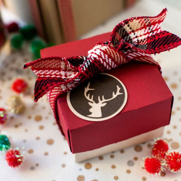 Cricut Holiday Mystery Box-Cutie Included!