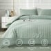 Comforter Set(104x90 inches)3 Pieces-100% Soft Comforter with 2 PillowcasesGreen