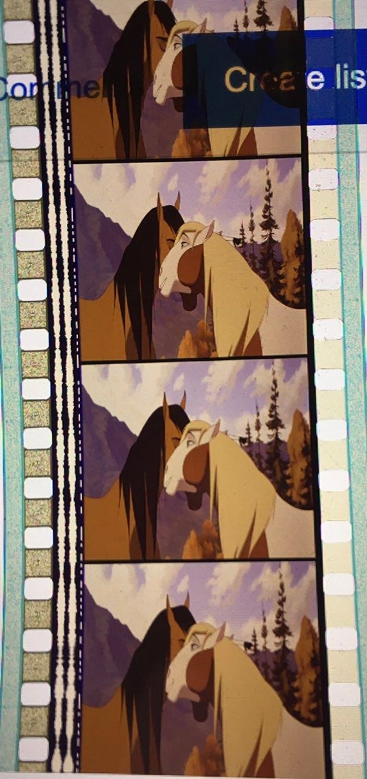 Spirit Stallion of the Cimarron Movie Film Strip