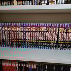 negima manga volumes 1-38