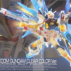 RG 1/144 STRIKE FREEDOM GUNDAM COLOR