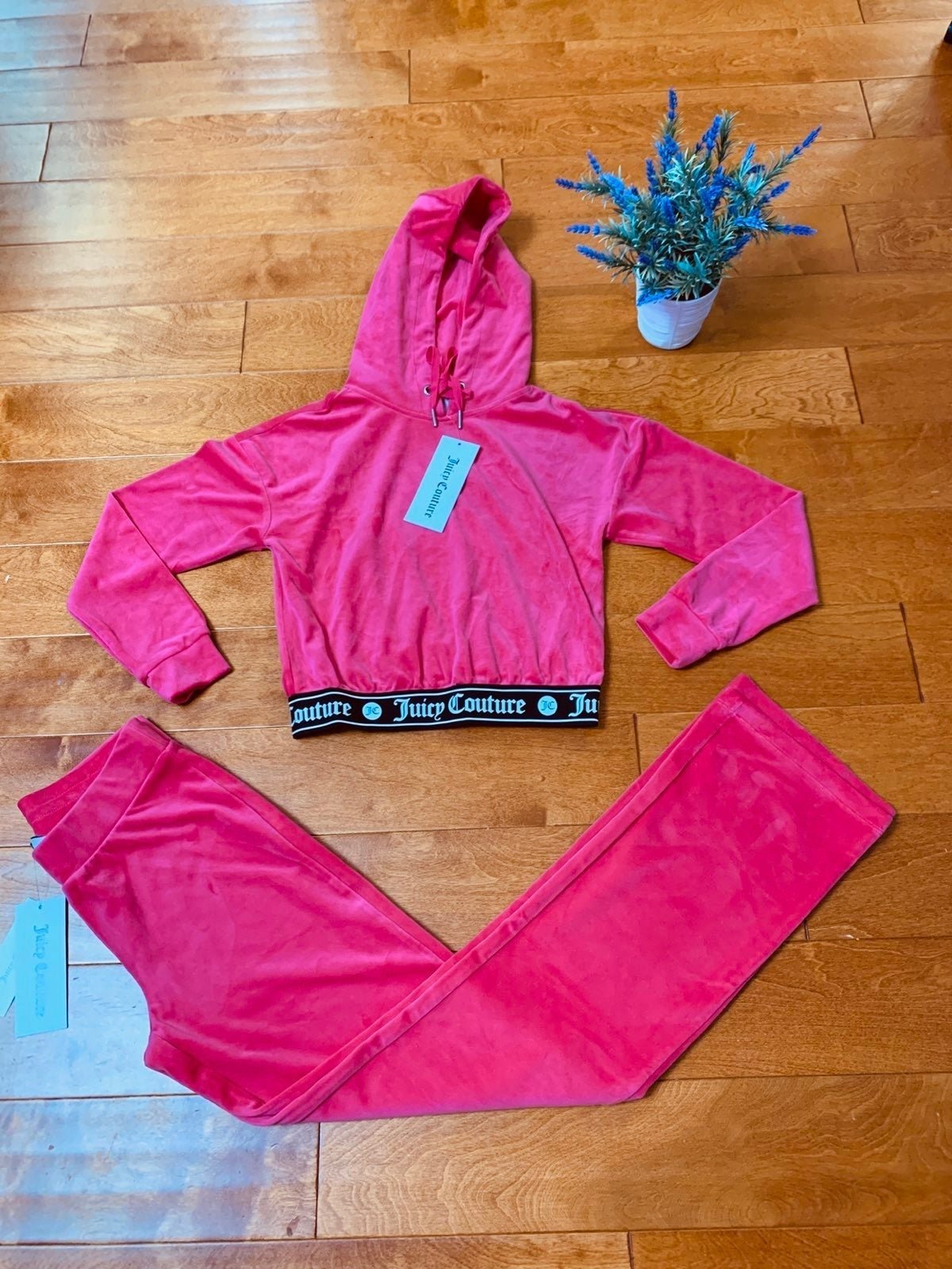 Juicy couture Anniversary 25 hoodie & pa