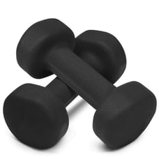 Neoprene dumbbell 10 lb 10LB dumbbells