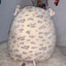 Squishmallows Rosie the Pig 12