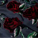 Boston Proper Rose Burnout Wrap Dress sizes M and XS Brand new