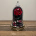 Bath and Body Works Disney Belle Rose Adjustable Wallflower Plug