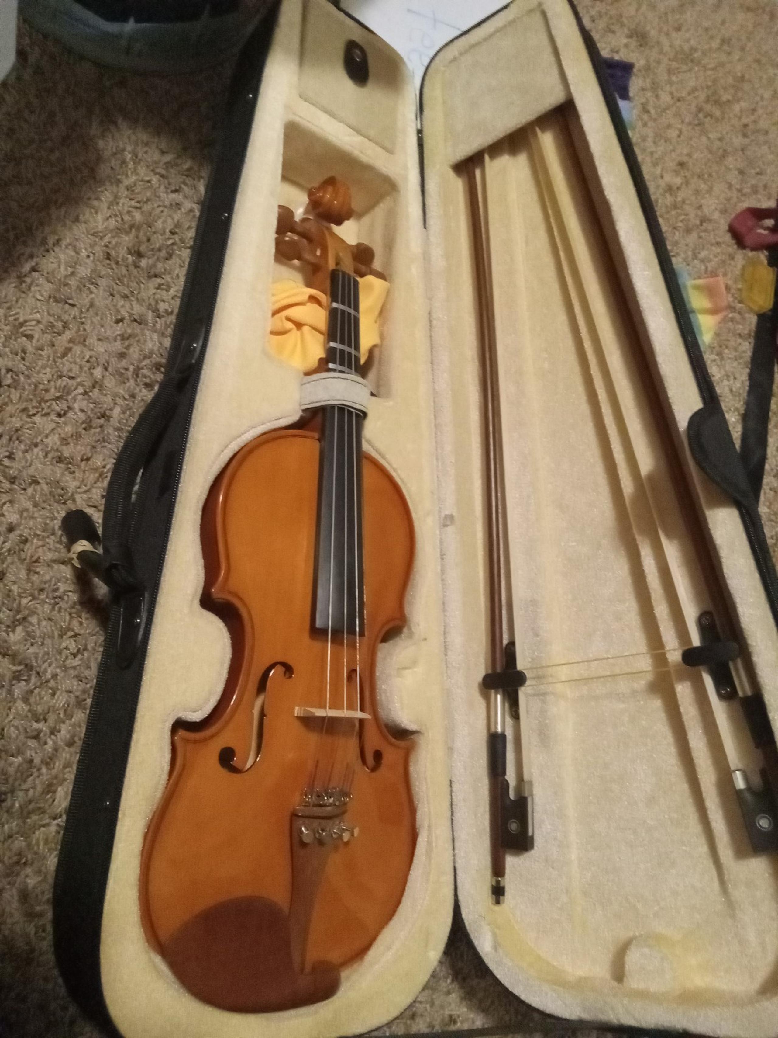 Violin