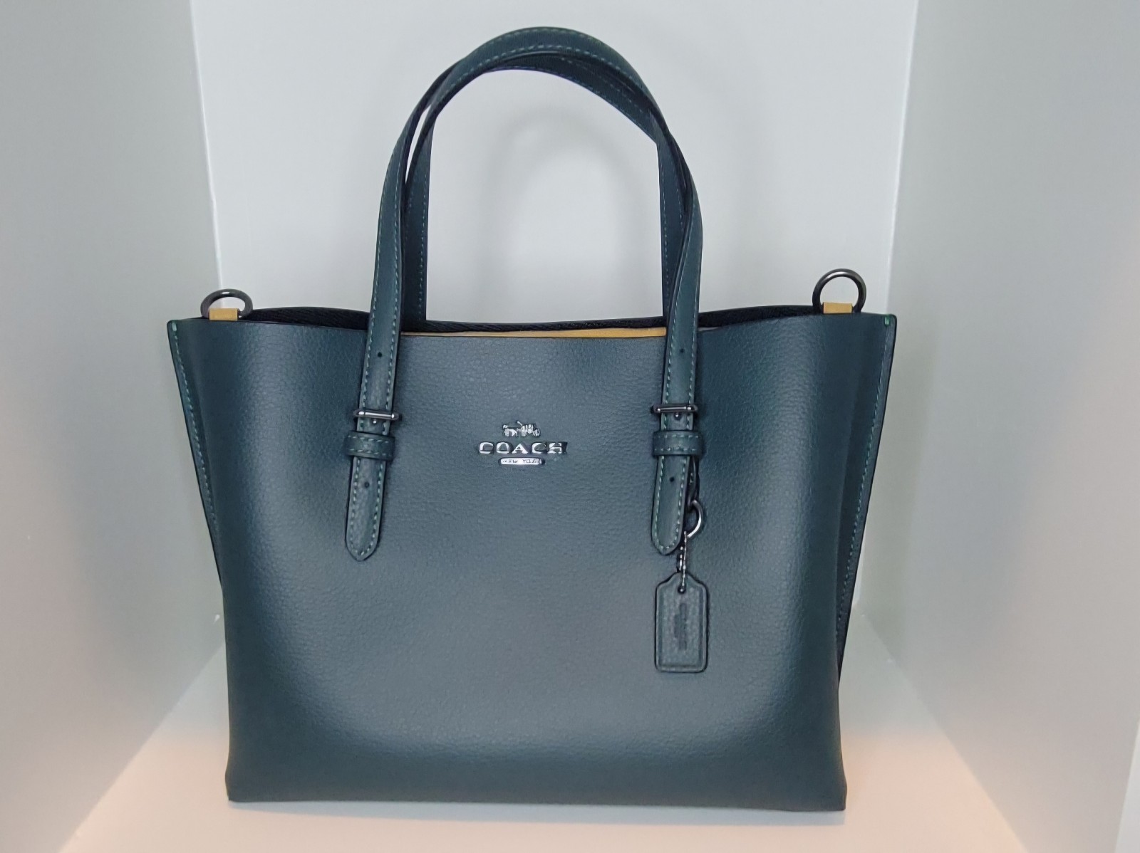 Coach Mollie 25 Tote