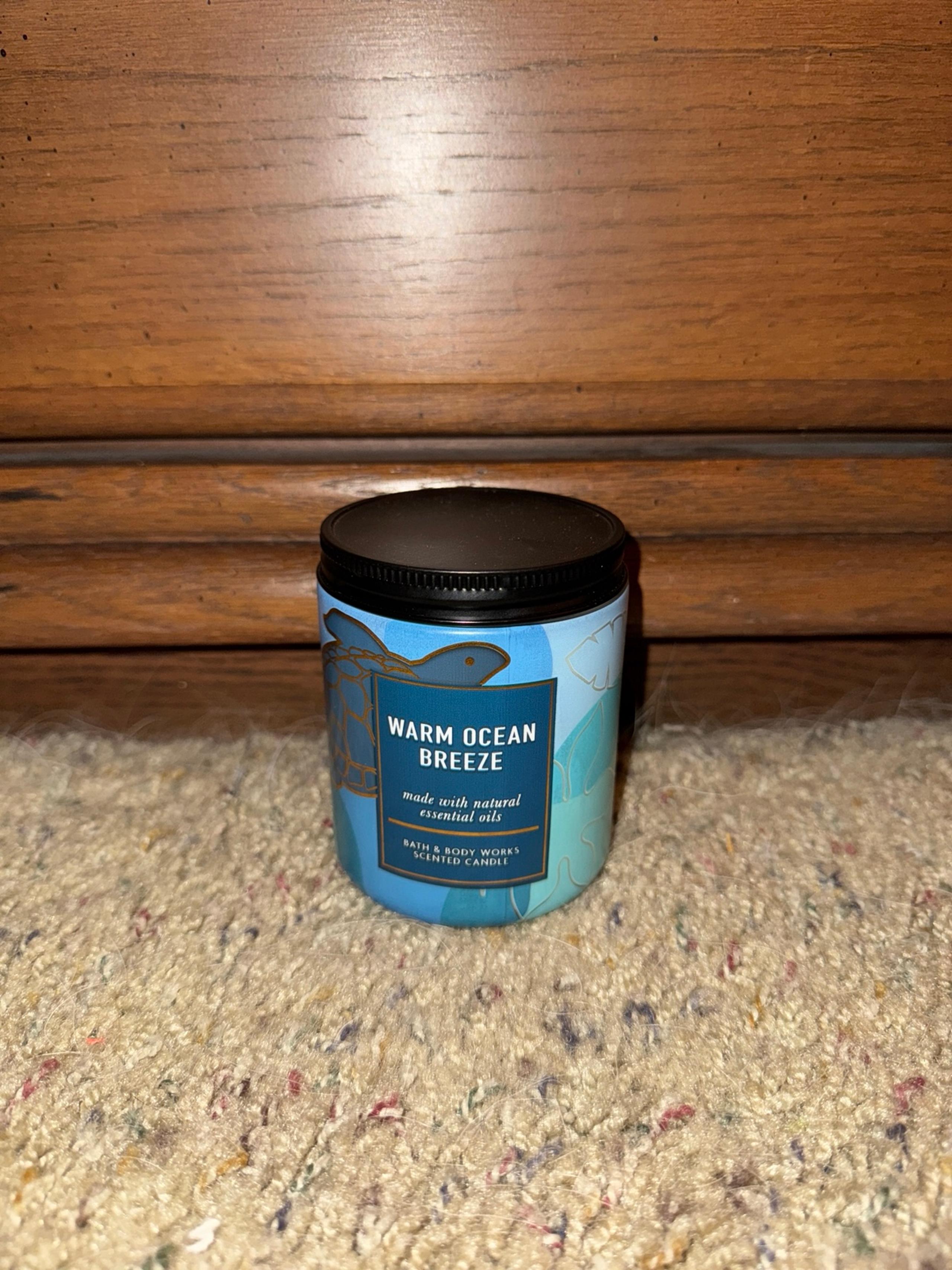 BBW Warm Ocean Breeze Single Wick Candle