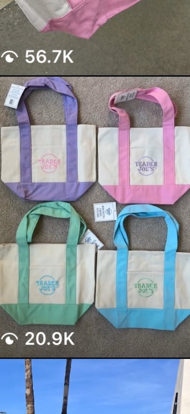 Pastel Canvas Mini Tote Bag- Trader Joe’s