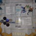 200+ Pokèmon Cards