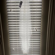 Bridal Veil