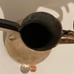 Vintage Metal Brass Turkish Brass Coffee Tea Pot Server, 12 x 11\