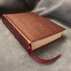 Nasb super Giant print Bible