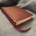 Nasb super Giant print Bible