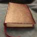 Nasb super Giant print Bible