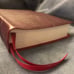 Nasb super Giant print Bible