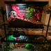 Fish tank