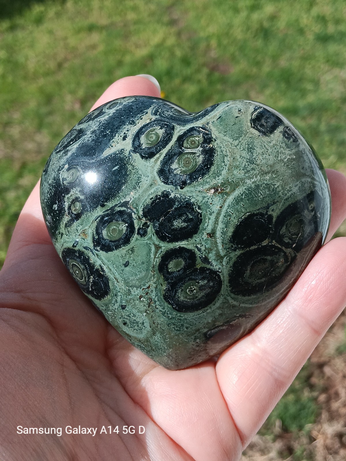 Kambaba Jasper Heart