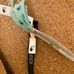 Off white belt