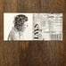 Taylor Swift Reputation Magazine