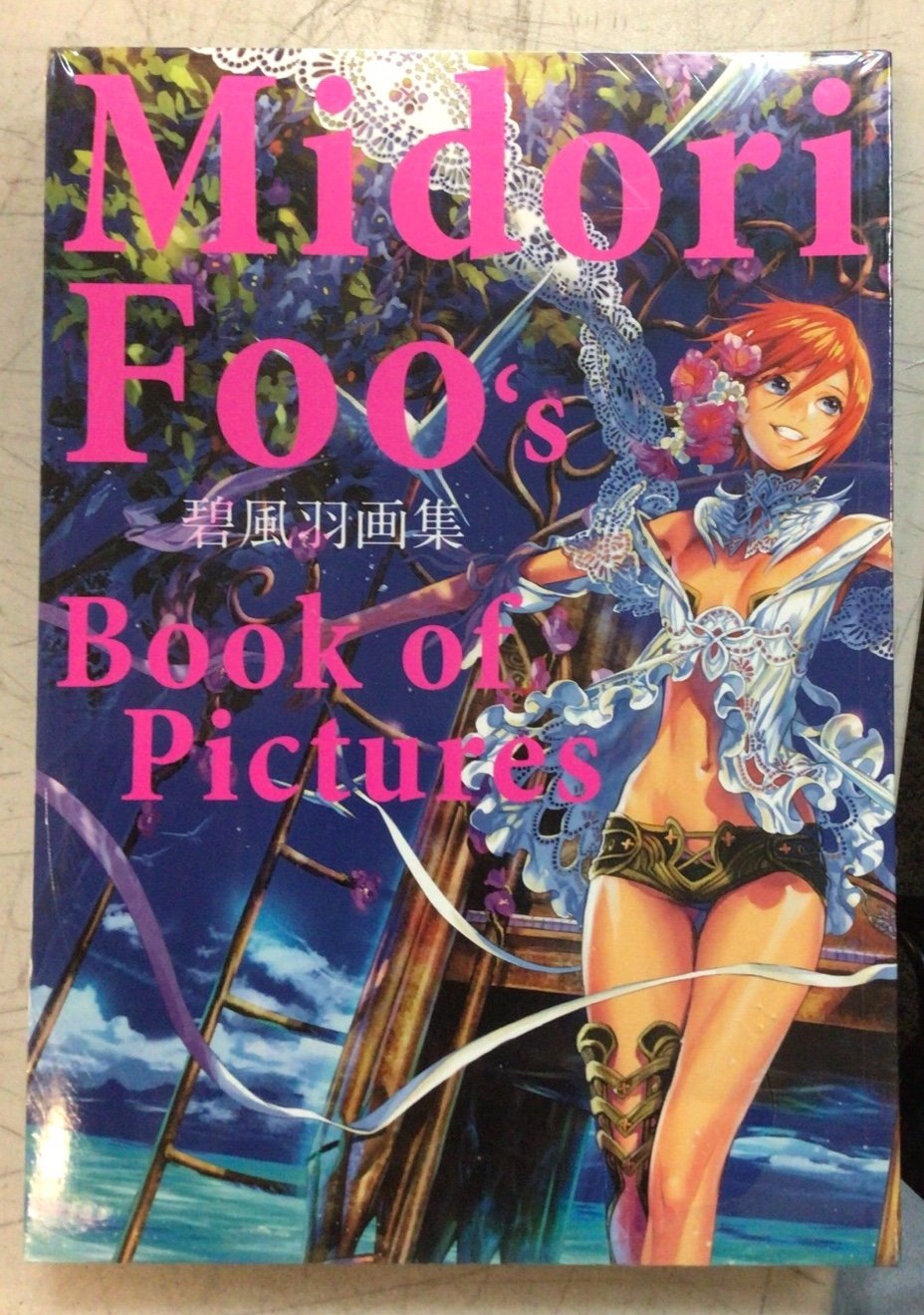 Midori Foo’s Book of Pictures - New