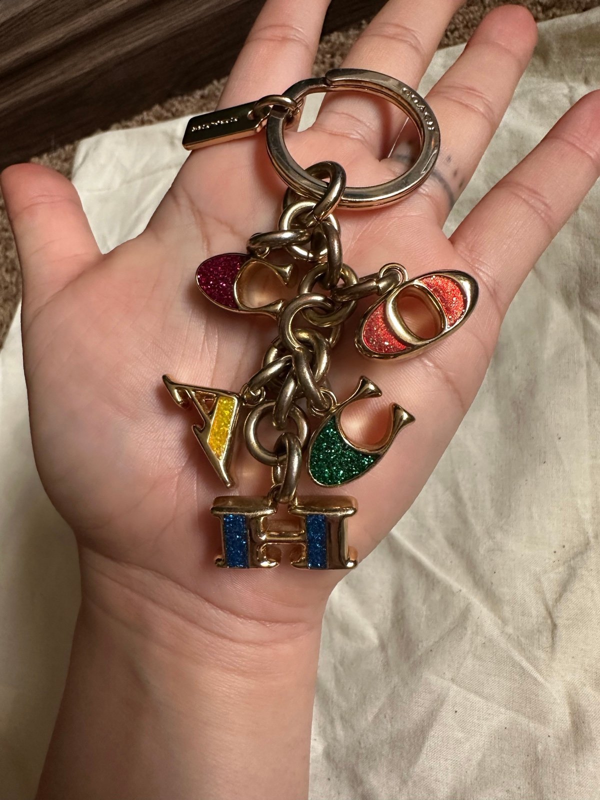 Pride Coach Keychain