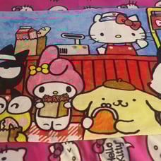 Hello Kitty and friends Sanrio blanket