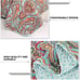 Cotton Bedspread Quilt Sets-Reversible Patchwork Coverlet Set