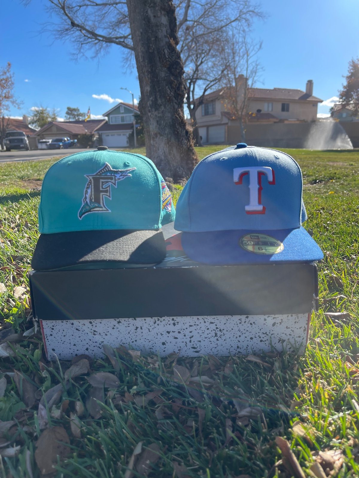 texas rangers & Miami delfins selling each one for 28 dollars