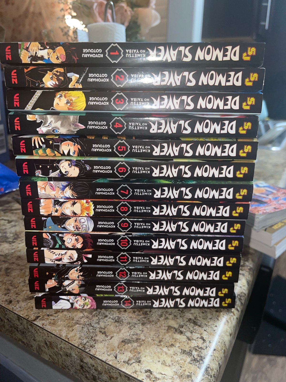 Demon Slayer Vol 1-14
