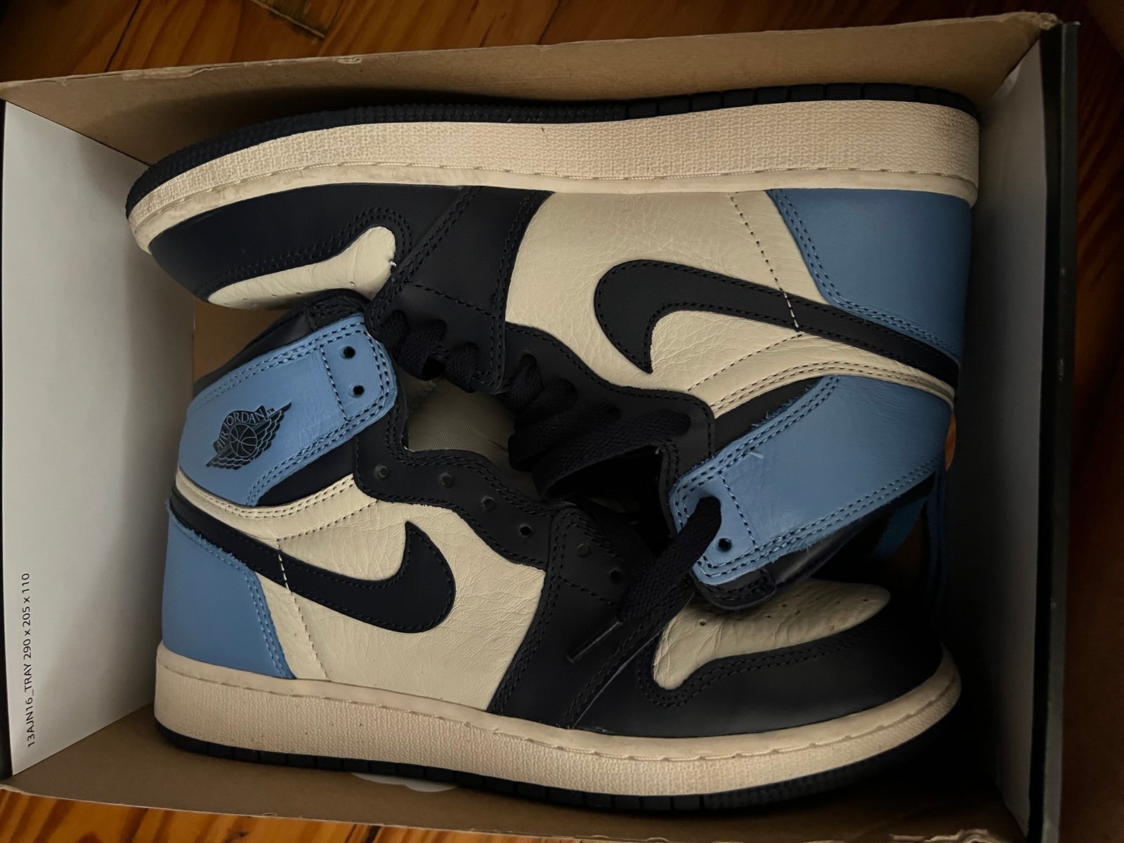 Jordan 1 obsidian unc