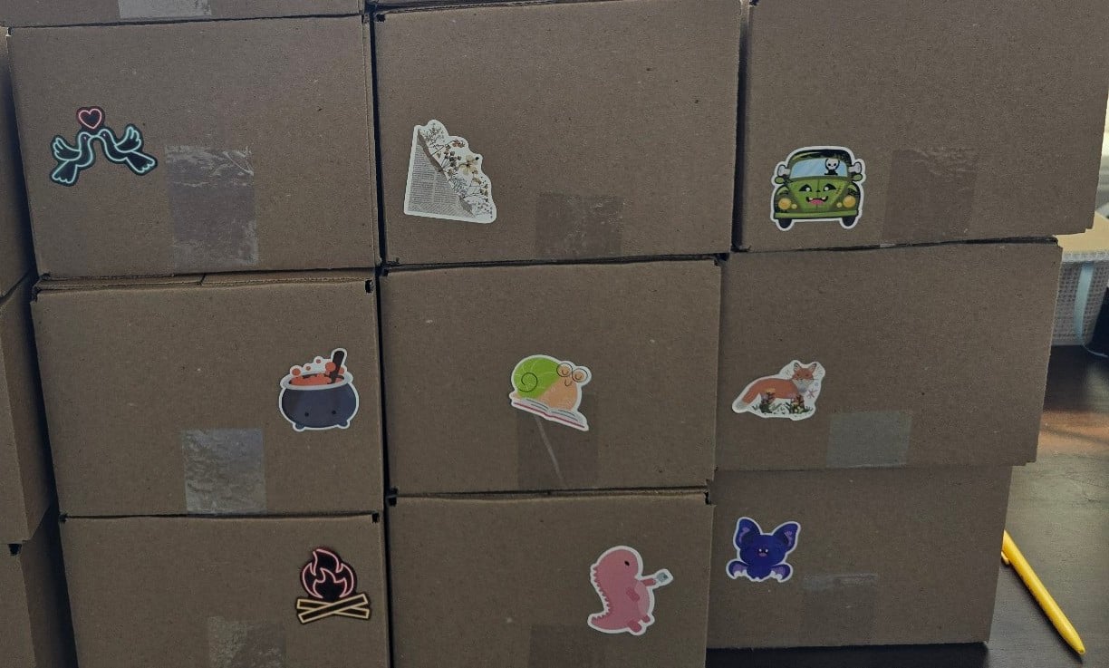 Romantasy Special Edition Mystery Book Boxes