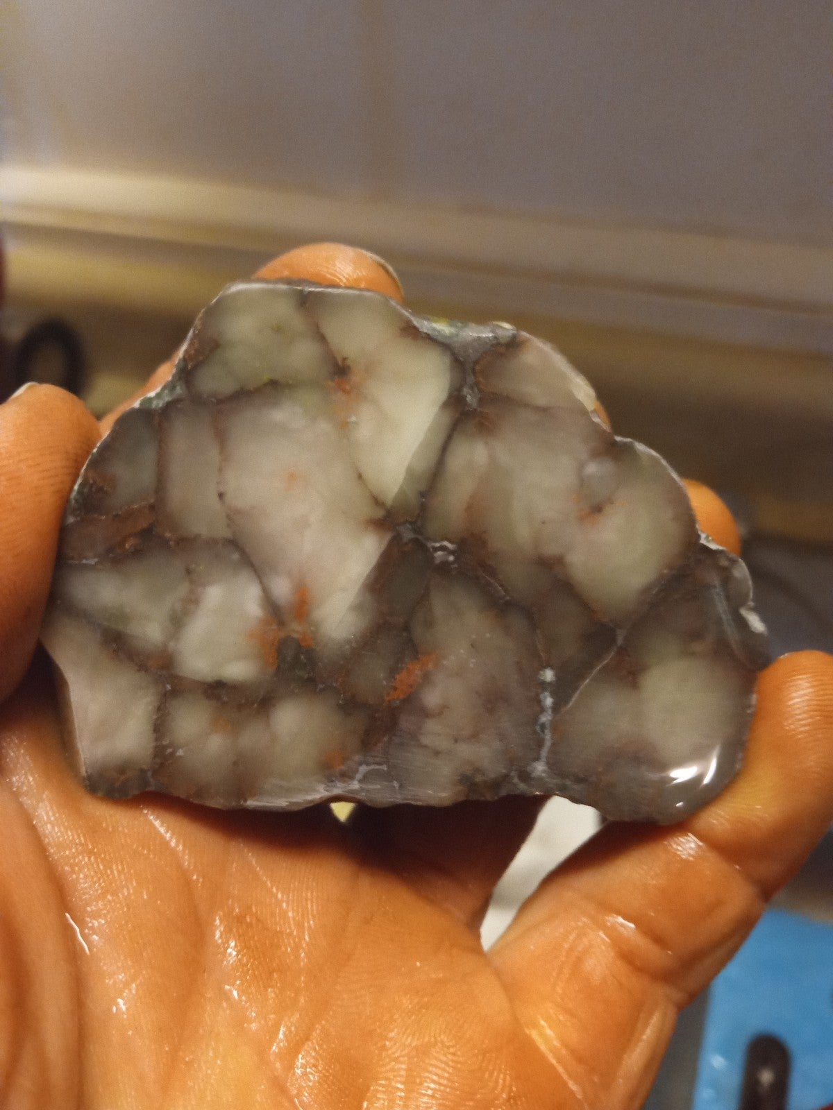 Datalite nodule