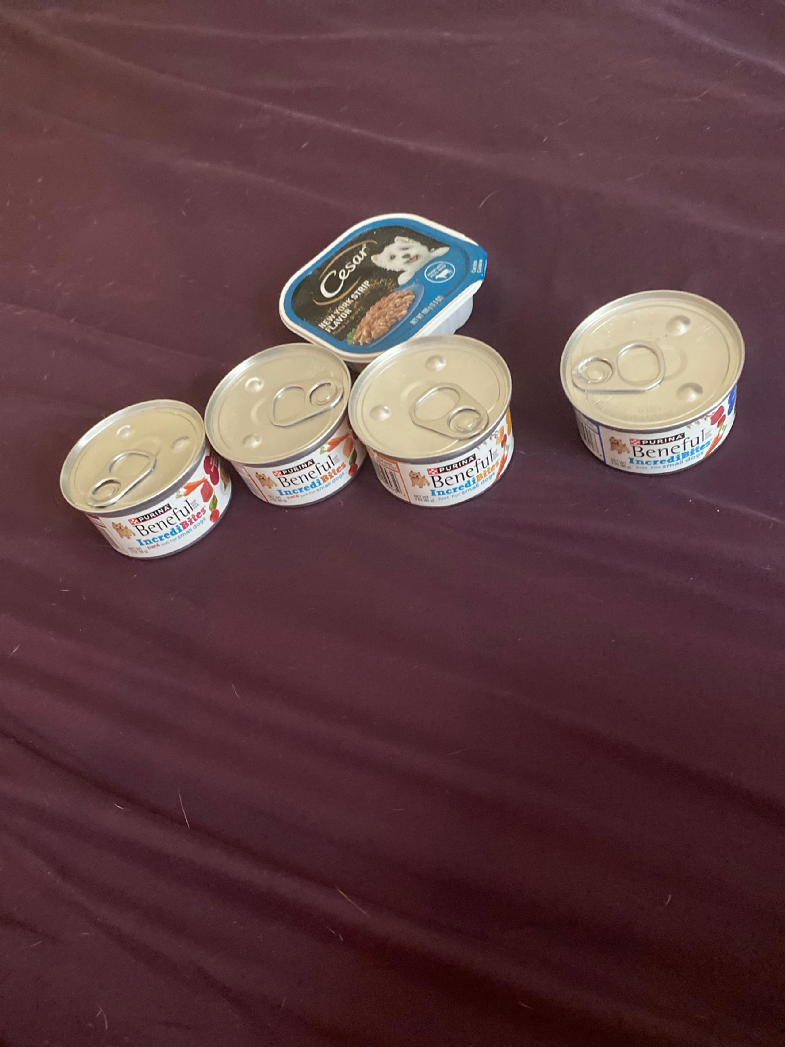 Dog food
