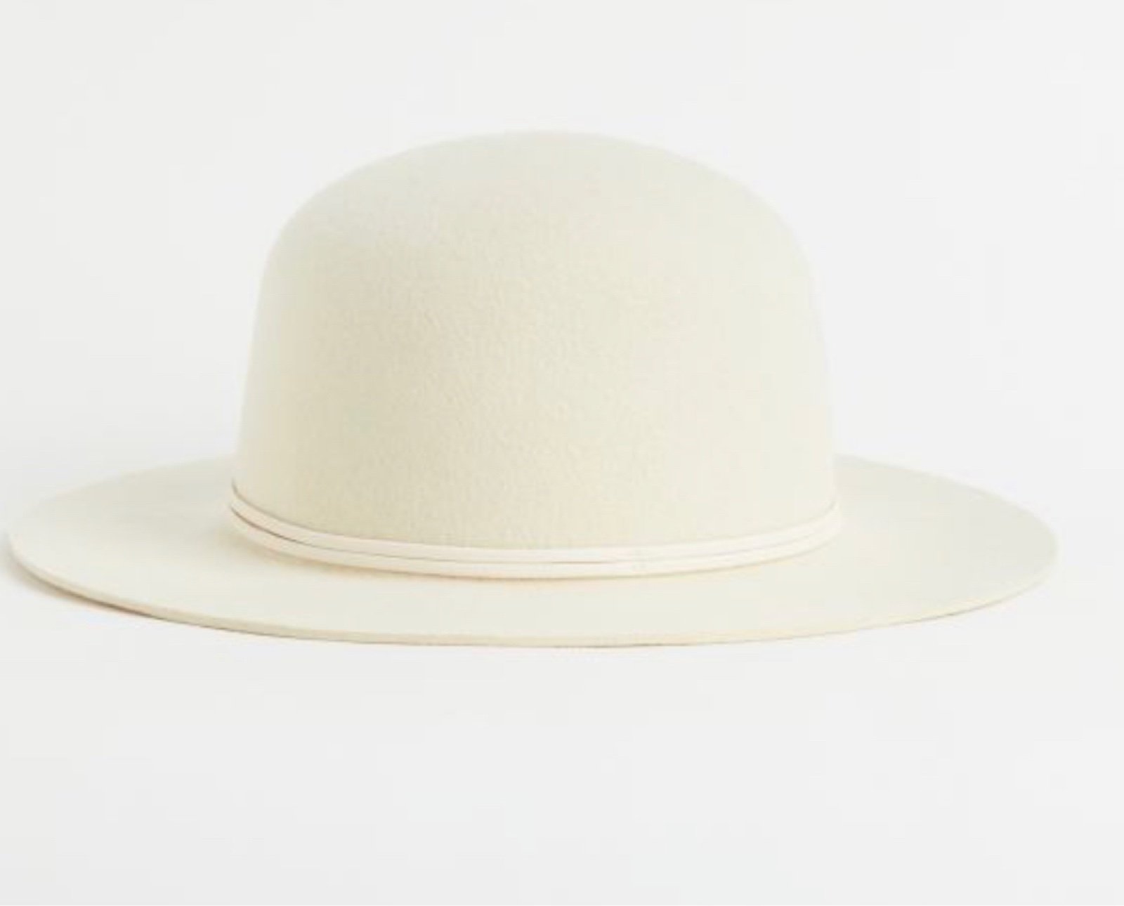 H&M Wide Brim Wool Fedora Hat