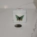 2 VTG LIMOGES FRANCE PORCELAIN SMALL TRINKET BOX JEWELRY BUTTERFL GOLD TRIM