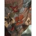 Chico’s embellishment scarve wrap orange red