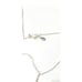 Dune Jewelry Petite Sand Dollar Necklace
