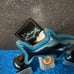 Shark wallflower Bath & Body Works bundle